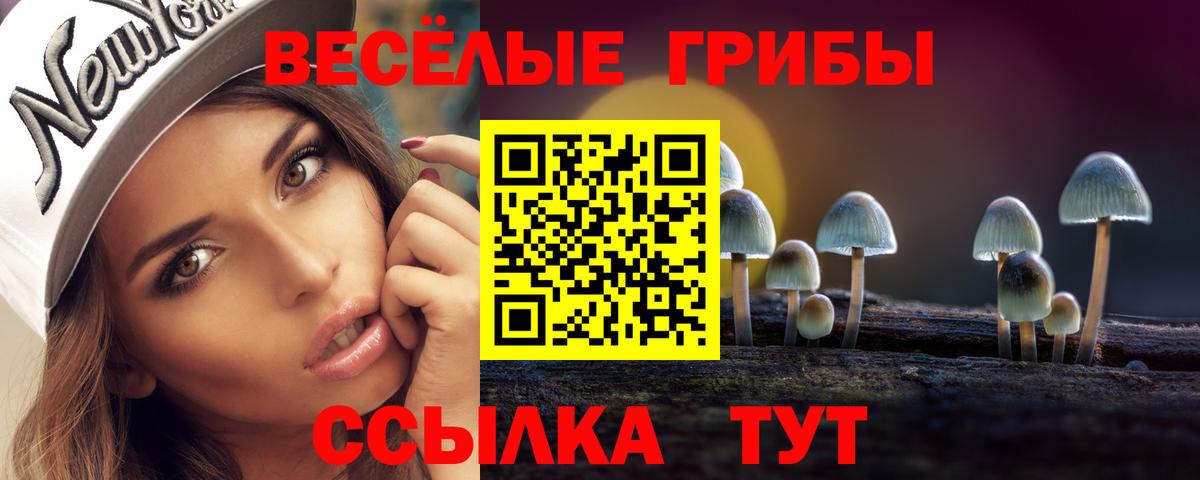 Галлюциногенные грибы GOLDEN TEACHER  Галлюциногенные грибы мицелий  Вход с VPN  Камышин 